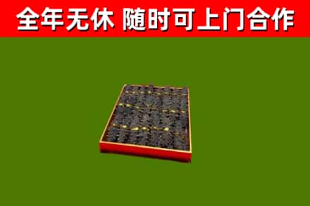 桃山区回收海参